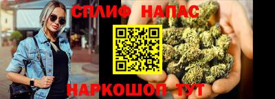 a pvp Новодвинск