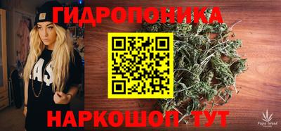 шишки Нарткала