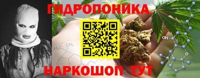 прущие грибы Нальчик