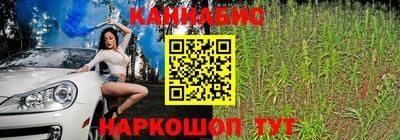 прущие грибы Нальчик